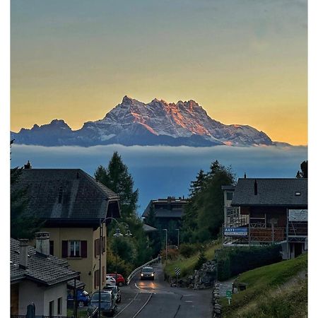 Chalet 4 Personnes Avec Sauna Leysin Kültér fotó