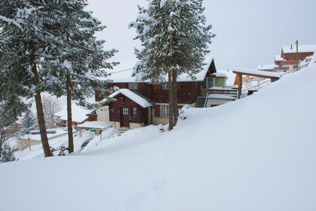 Chalet 4 Personnes Avec Sauna Leysin Kültér fotó